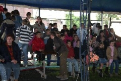 circus 113