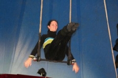 circus 169
