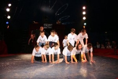 circus 254