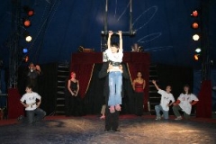 circus 353