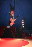 circus 485