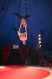 circus 488