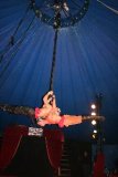 circus 496