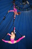 circus 524