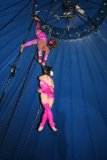 circus 529