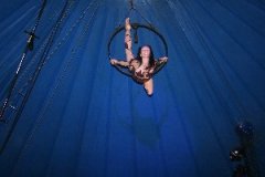 circus 560