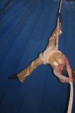 circus 606