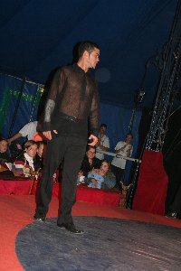 circus 339