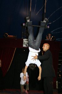 circus 367