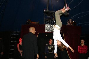 circus 385