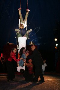circus 395