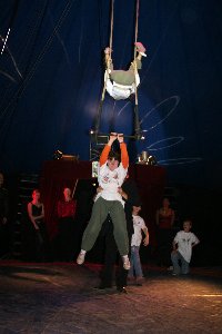 circus 397