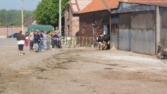 c3 396