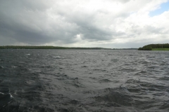 DSC03954
