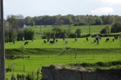 DSC04086