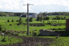 DSC04088