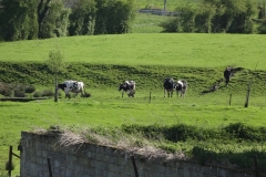 DSC04091