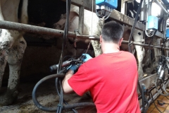 DSC04104