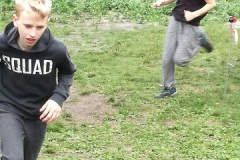 dig