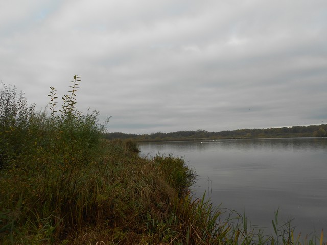 DSCN1348