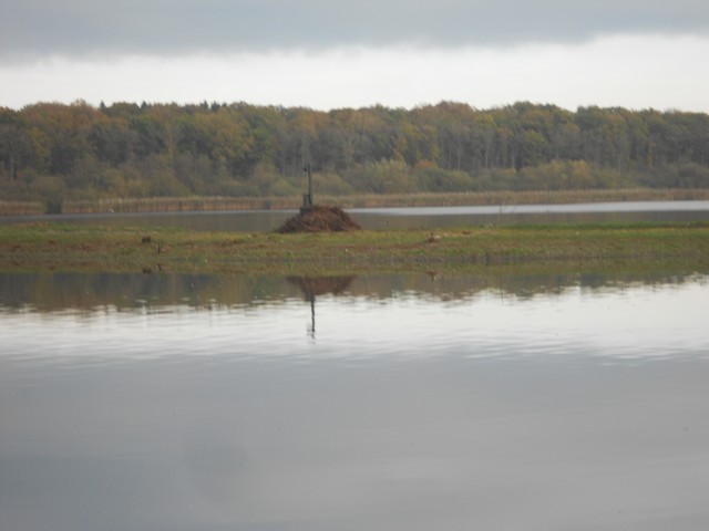 DSCN1349