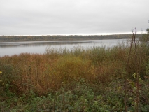 DSCN1343