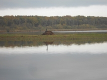 DSCN1349