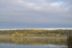 DSC_2691