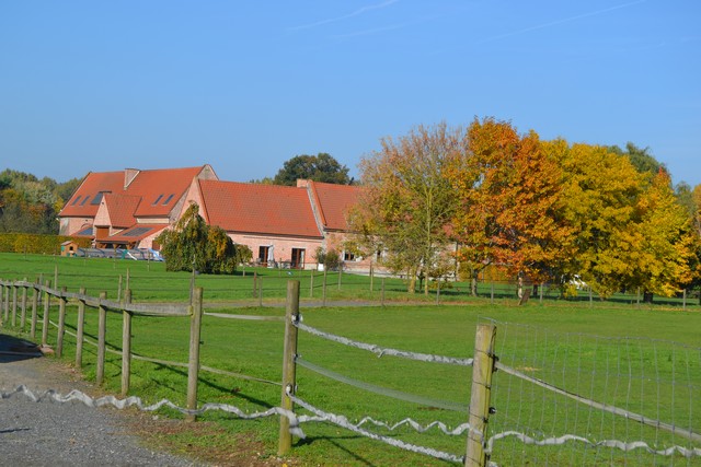 DSC_7435