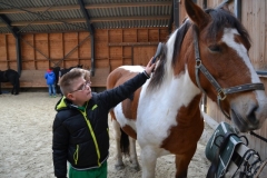 DSC_7603