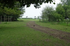 DSC05942