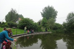 DSC06223