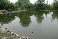 DSC06231