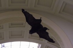 IMG_0086