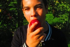 IMG_0500