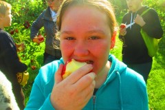 IMG_0509