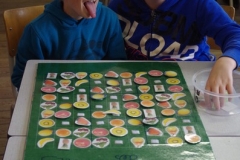 LUDO3176