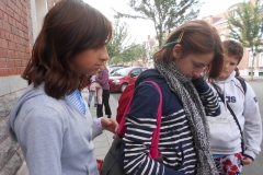 DSCN0785