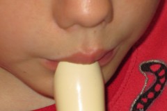 IMG_0453