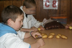 REVEILLON_CLASSE_2012_098