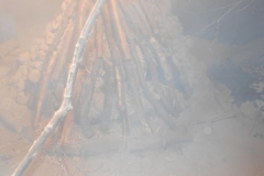 DSCN0419