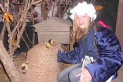 DSCN0461