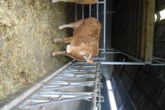 DSCN0494