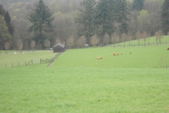 DSCN0510