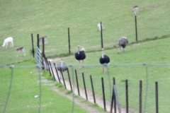 ROCHEHAUT_!!!!_009