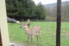 ROCHEHAUT_!!!!_017