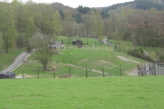 ROCHEHAUT_!!!!_025
