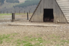 ROCHEHAUT_!!!!_037