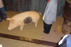 ROCHEHAUT_!!!!_169