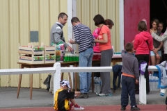 IMG_4452